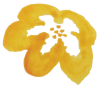 Blume_gefüllt_vector